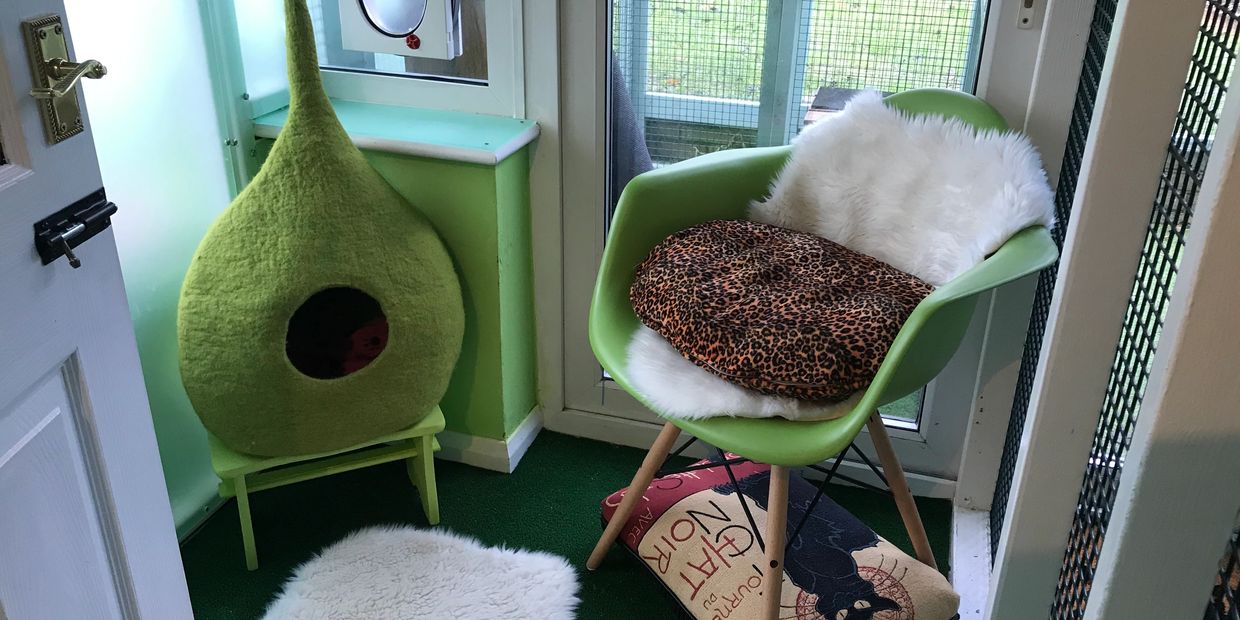 A cattery for Mill Hill, Edgware, Finchley, Hampstead, St Johns Wood, Southgate, Primrose Hill