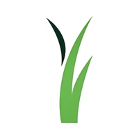 Sports Turf