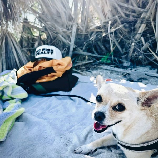 Big Fish Realty Snapback