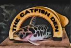 The Catfish Den