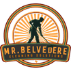 Mr. Belvedere Cleaning Solutions