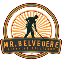 Mr. Belvedere Cleaning Solutions