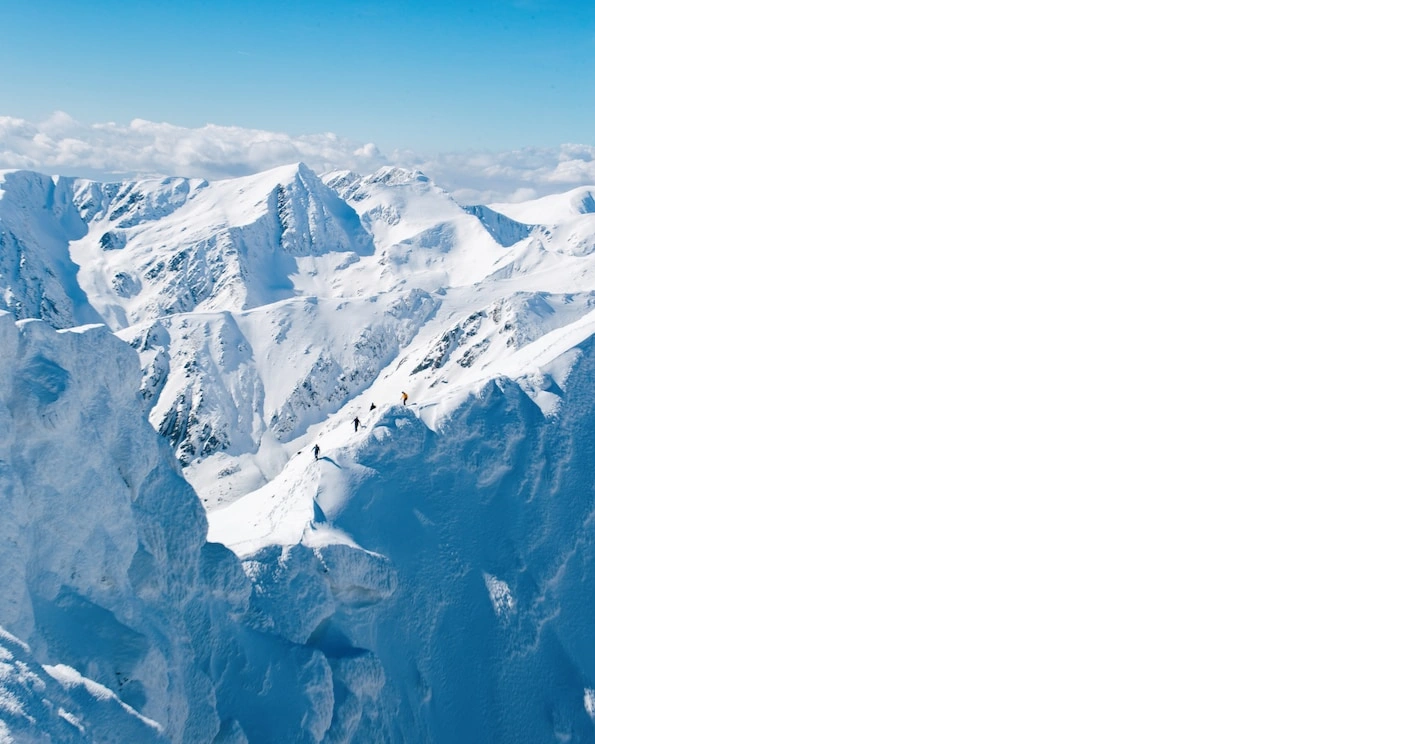 Innovation Velocity Group