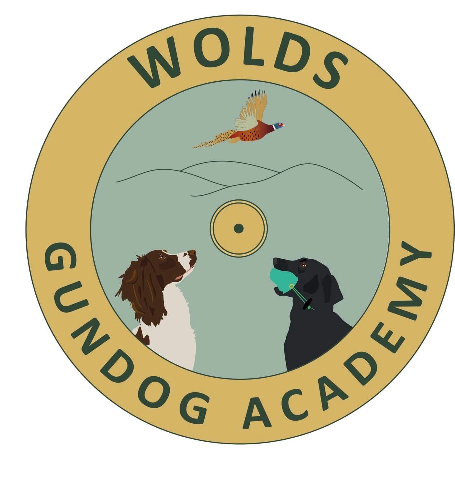 Gun Dog Puppy Training | Wolds Gundog Academy