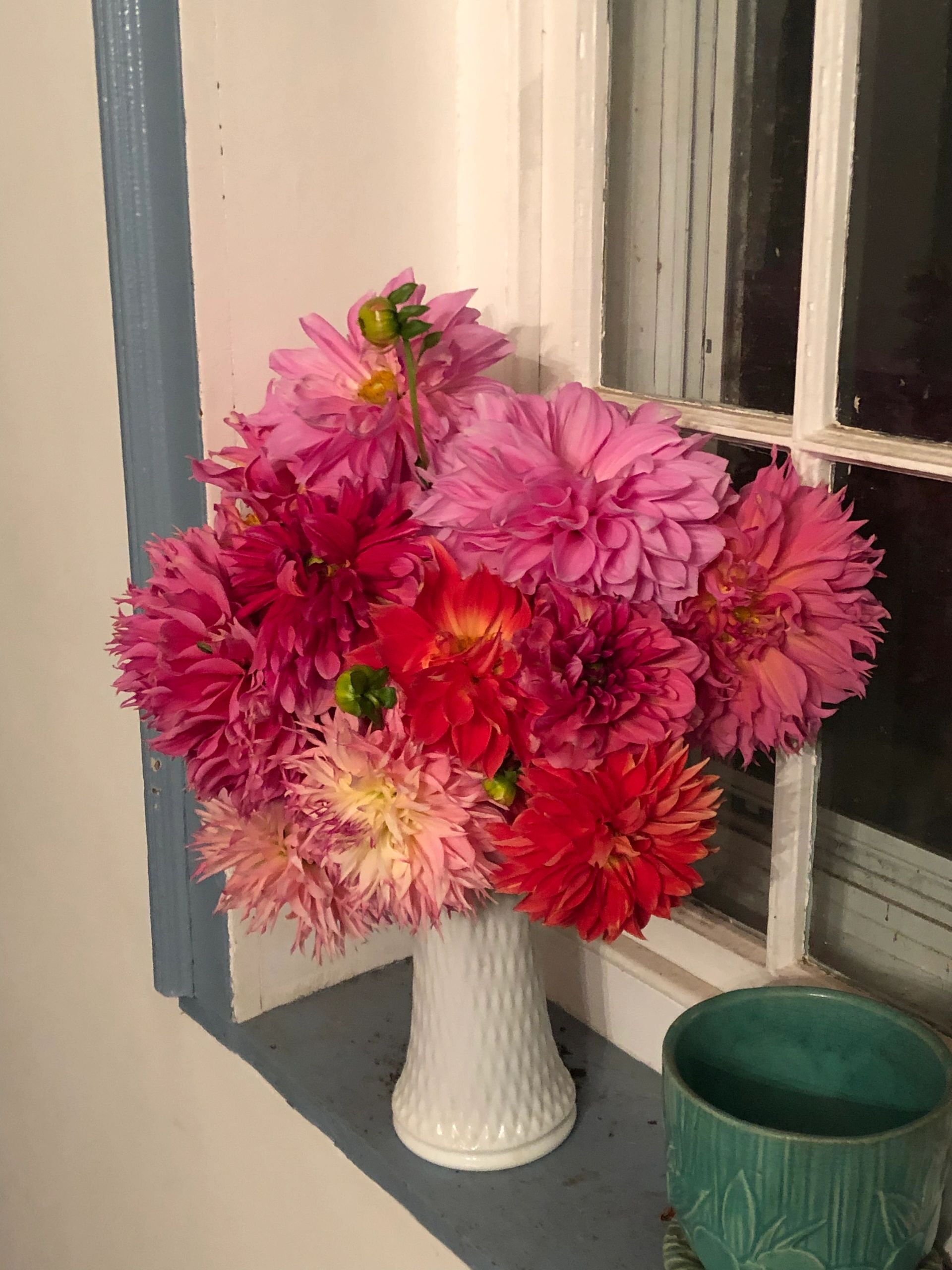 Bright pink and red flowers in a white vase on a window sill.