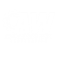 ADVANCED WEB CORPORATION