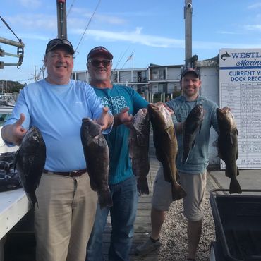Three men proudly holding their catch of fish at a marina.
