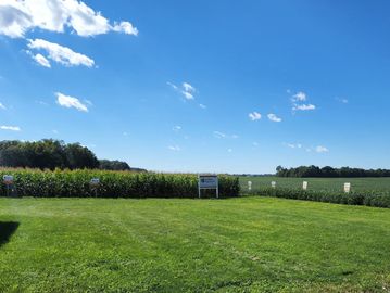 Agronomy in Action Trials