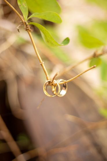 Two Gold Rings hanging from a branch