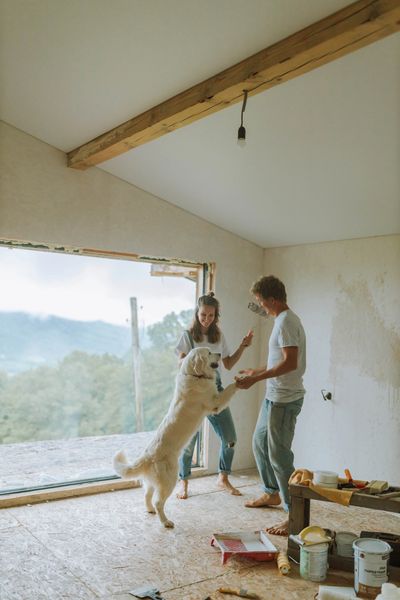 Couple painting and renovating their room with their dog. 