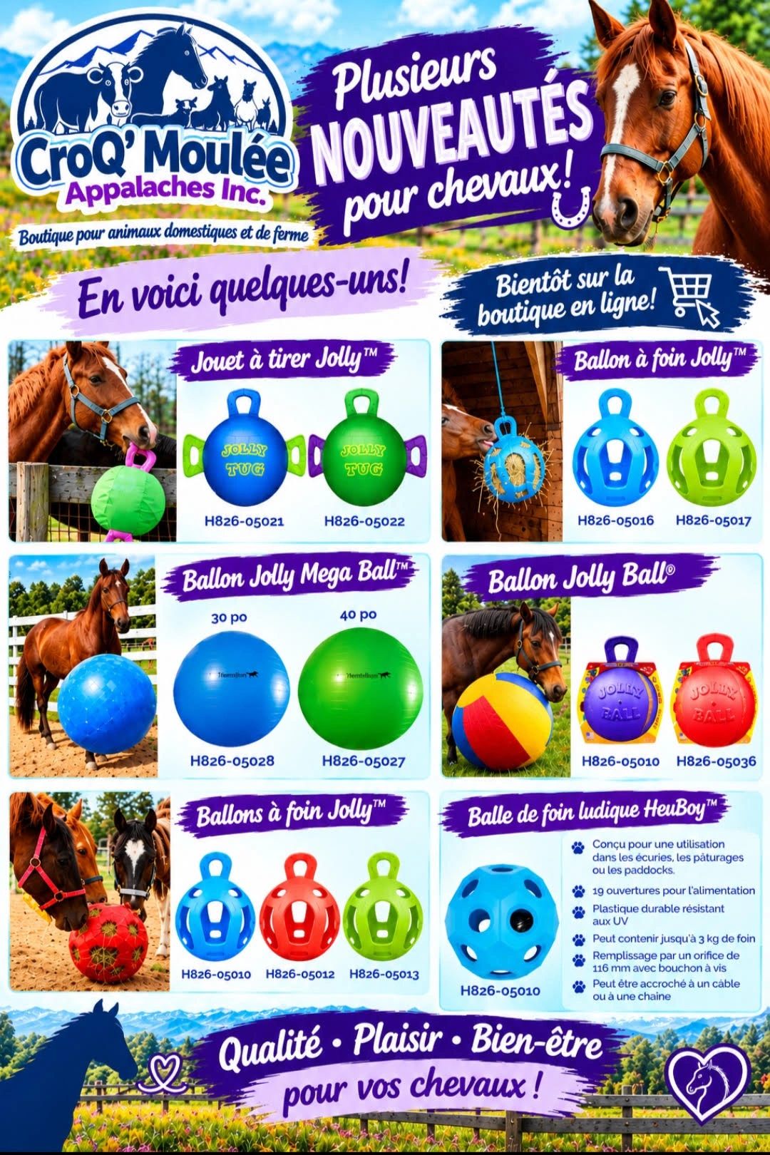 Nouveaux jouets et ballons pour chevaux de CroQ'Moulée Appalaches Inc.