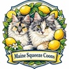 Maine Squeeze Coons