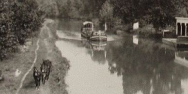 Historical photo of mules pulling a barge on the C&O Canal 