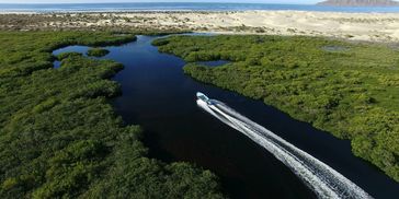 Exploring the 100 miles of waterways in Magdelena Bay with our local guide service.