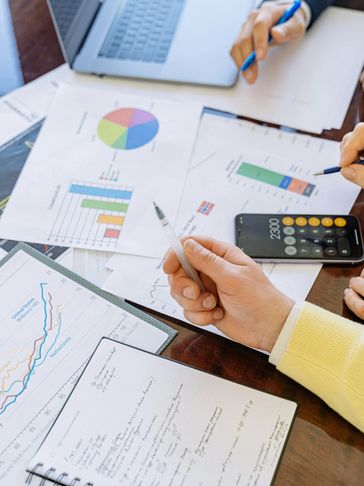 Project Appraisals for real estate,  pharmaceuticals, transport, agriculture industries factories 