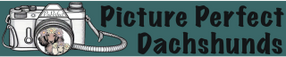 Picture Perfect Dachshunds logo