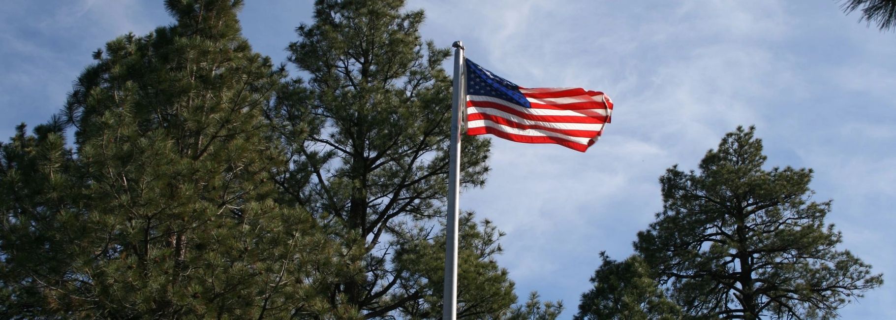 Trees and US Flag in front of blue sky