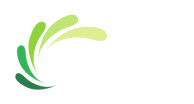VINSIFY