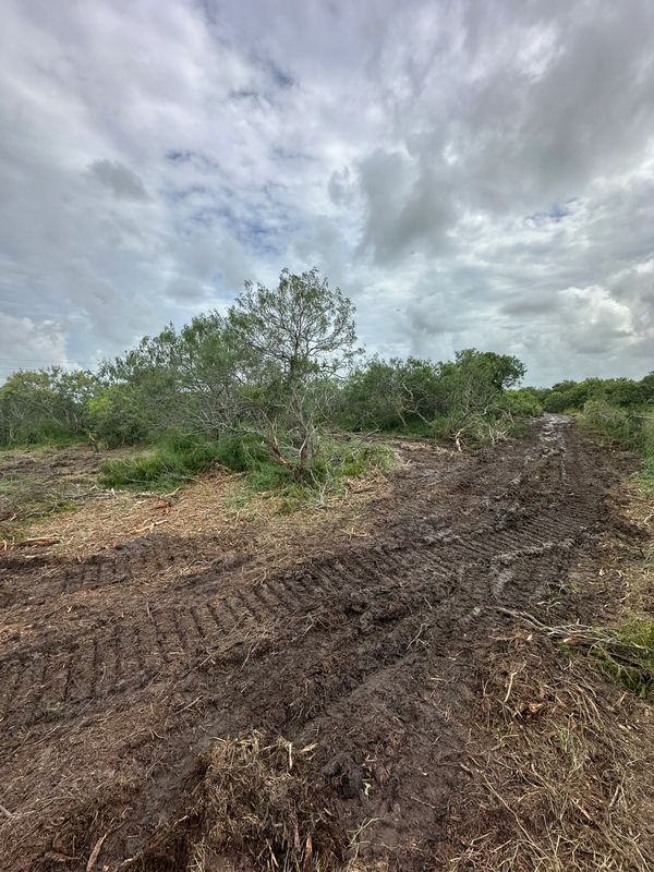 Mulching and land clearing