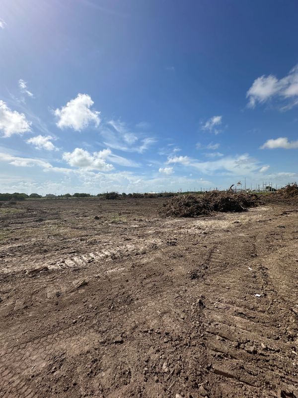 Land clearing