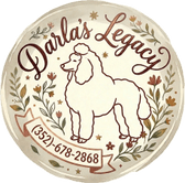 Darla's Red Standard Poodle's