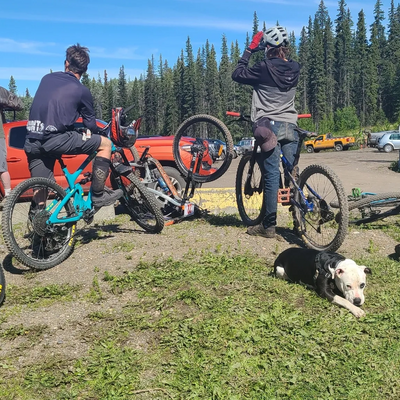 Mountain bikers taking a break with their bikes and a resting dog in a forested area.