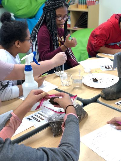 Sixth grade students at Jennings Creek Elementary School participating in CSI Soils.