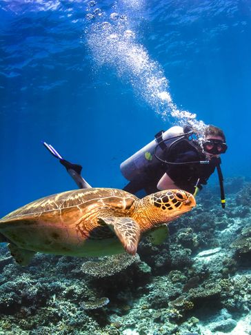 Curacao Scuba