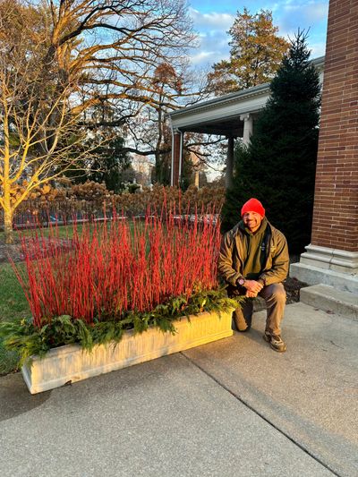 Man in a red beanie kneeling by a planter with red branches outdoors.