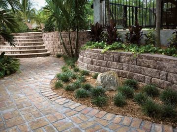 Retaining wall and patio and plants