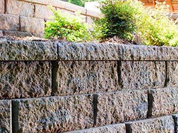 Stone wall with plants