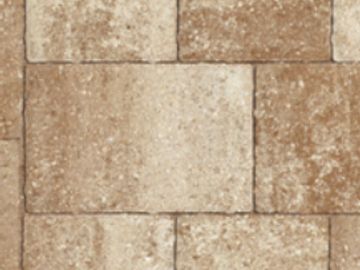 Paver bricks