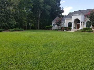 Green lawn with house