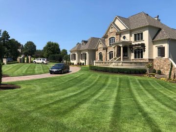 Green lawn with stripes