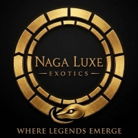 Naga Luxe Exotics