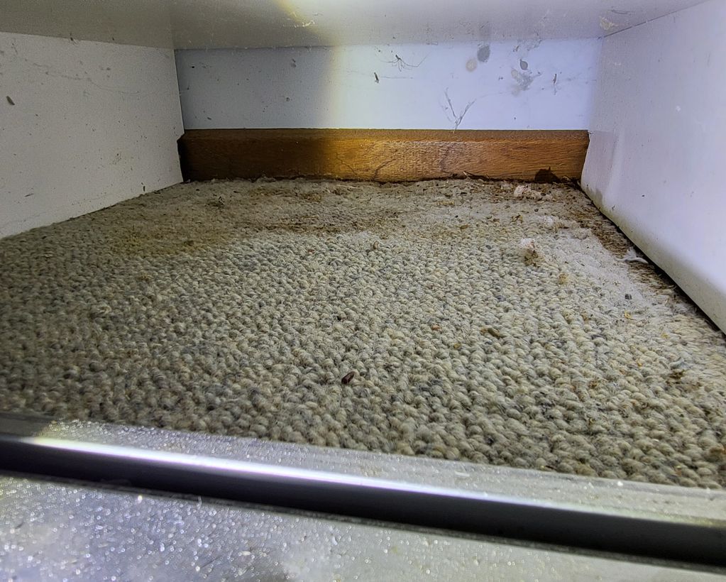 Moisture damage in robe, rear of shower.
Pre Purchase Building Inspection Seaford