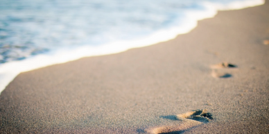 half moon bay proposal location