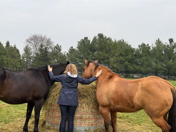 Person petting two horses standing beside a hay bale in a field.