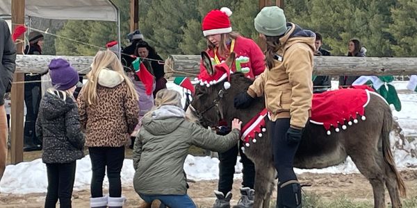 Children petting a donkey dressed in festive Christmas attire outdoors.