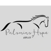 Palomino Hope Equine Experience
 501(c)3