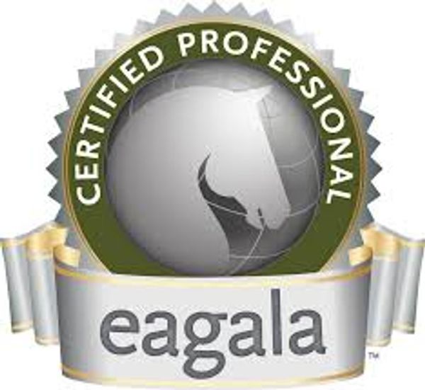 Eagala Certified Professional logo with a horse head and ribbon.