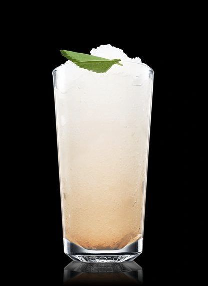 India’s Mule