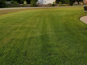 Groomed lawn