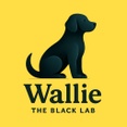 Wallie The black lab