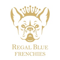 Regal Blue Frenchies