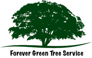 Forever Green Tree Service