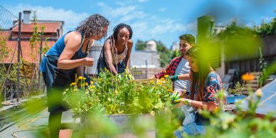 community garden, build community, meet neighbors