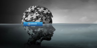 Psychology based, data driven team dynamics recruitment talent strategic Harrison Assessments