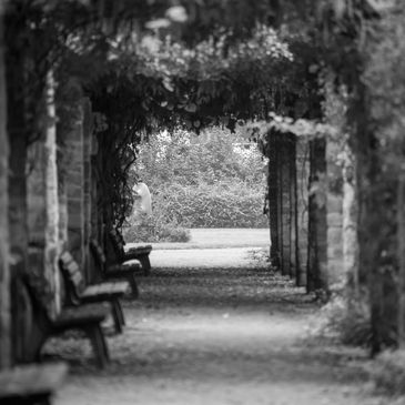 serene view of a walk under a bridge 