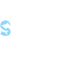 Sharks Swim Academy 